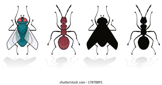 fly and ant isolated on white with his silhouette