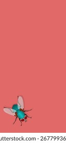 Fondo de la mosca. Fondo de pantalla de diseño de moscas