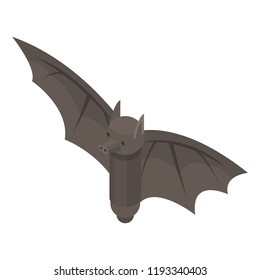 Fly bat icon. Isometric of fly bat vector icon for web design isolated on white background