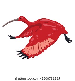 Fly Bird Scarlet Ibis or Red Ibis. Tropical wild life South America and part of the Caribbean. National symbol of Trinidad and Tobago. Vector isolated image for postcard, banner, decoration.