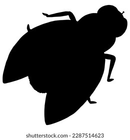 Mosca de silueta negra. Ilustración de vectores aislados sobre fondo blanco. Silhouette de vuelo monocroma.