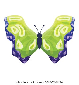 Fliege Schmetterlingsymbol. Cartoon Fliegenschmetterling-Vektorillustration Symbol für Webdesign einzeln auf weißem Hintergrund