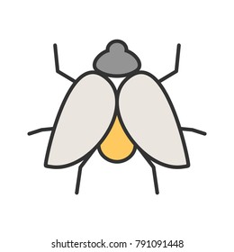 Fly, Butterfly, insects,fly