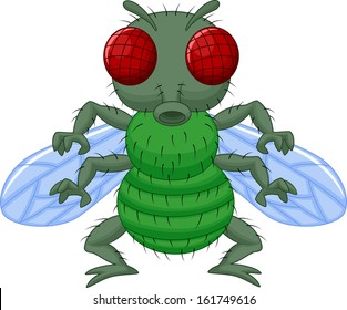 Fly cartoon
