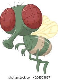 Fly cartoon