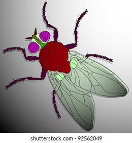 fly cartoon, abstract vector art illustration; image contains transparency