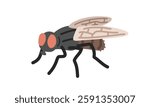 Fly cartoon clipart. Cute common housefly (Musca domestica) vector illustration. Animal in flat style. Insects and anthropods concept isolated on white background