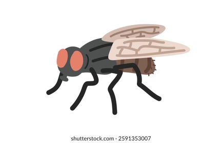 Fly cartoon clipart. Cute common housefly (Musca domestica) vector illustration. Animal in flat style. Insects and anthropods concept isolated on white background