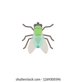 fly cartoon icon