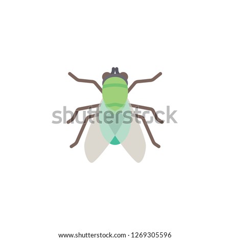 fly cartoon icon