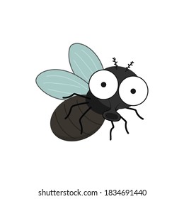 Fly cartoon vector. fly cartoon on white background.