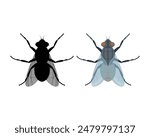 Fly. A cartoon-style image of a fly. The silhouette of a fly. The fly is a view from above. Flying insect, vector illustration