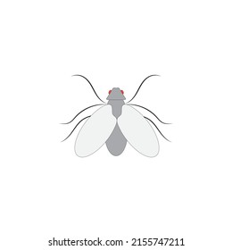 816 Housefly logo Images, Stock Photos & Vectors | Shutterstock