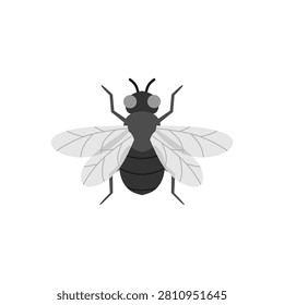 fly flat design vector illustration isolated on white background. insect, fly, greenbottle, house fly. insects fly single bundle on the white background. Cartoon house