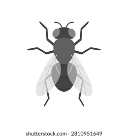 fly flat design vector illustration isolated on white background. insect, fly, greenbottle, house fly. insects fly single bundle on the white background. Cartoon house