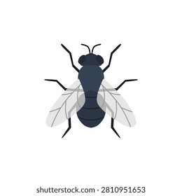fly flat design vector illustration isolated on white background. insect, fly, greenbottle, house fly. insects fly single bundle on the white background. Cartoon house