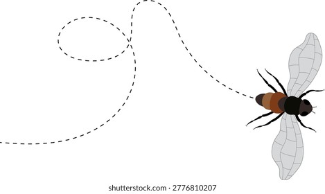 Fly flight path, buzz trace. A Fly flying in a dotted line. The flight path of Insect fly. Housefly flying on a dotted route. Hand drawn Fruit fly loop line. Professional Hand drawn vector