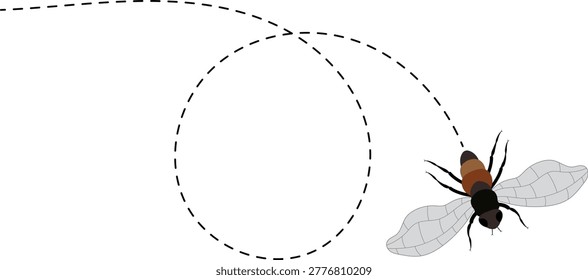 Fly flight path, buzz trace. A Fly flying in a dotted line. The flight path of Insect fly. Housefly flying on a dotted route. Hand drawn Fruit fly loop line. Professional Hand drawn vector