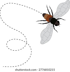 Fly flight path, buzz trace. A Fly flying in a dotted line. The flight path of Insect fly. Housefly flying on a dotted route. Hand drawn Fruit fly loop line. Professional Hand drawn vector