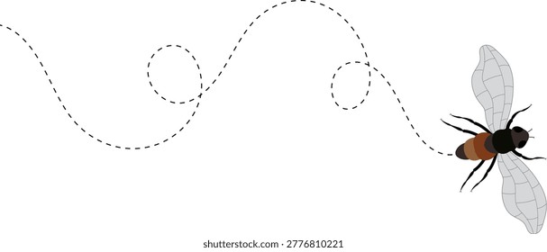 Fly flight path, buzz trace. A Fly flying in a dotted line. The flight path of Insect fly. Housefly flying on a dotted route. Hand drawn Fruit fly loop line. Professional Hand drawn vector