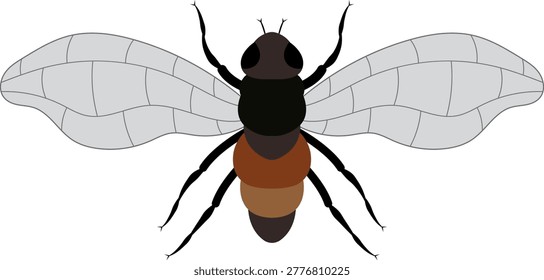 Fly flight path, buzz trace. A Fly flying in a dotted line. The flight path of Insect fly. Housefly flying on a dotted route. Hand drawn Fruit fly loop line. Professional Hand drawn vector