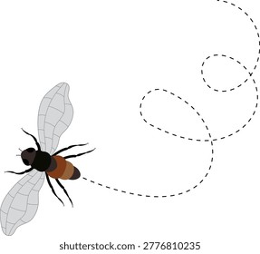 Fly flight path, buzz trace. A Fly flying in a dotted line. The flight path of Insect fly. Housefly flying on a dotted route. Hand drawn Fruit fly loop line. Professional Hand drawn vector