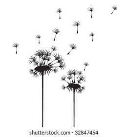 fly flower