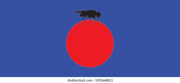 Fly in the full moon sky flat design vector illustration. Fly sitting on red sun in night. 2D cartoon japanese anime style hand drawn drawing. Aesthetic style background texture. Tattoo inspiration.