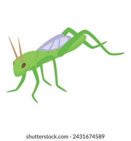 Fly grasshopper icon isometric vector. Locust pest. Adorable fun insect