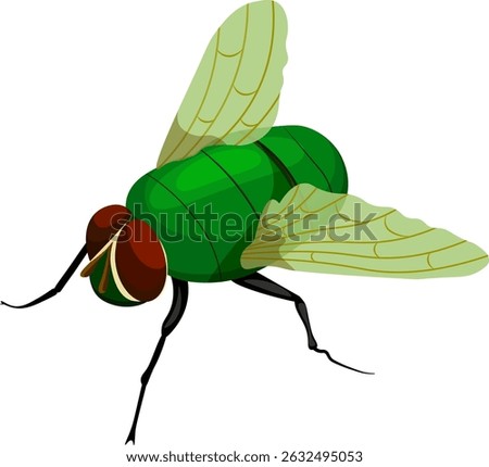 fly green insect vector image without background