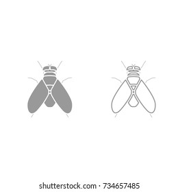Fly grey set icon .