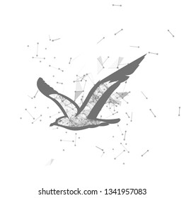 fly gull.  Polygonal wireframe fly gull silhouette. low poly vector illustrations on background of points and lines.