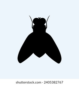 Fly, herbarium. Collect insects. Flat image of an insect. Silhouette of a fly.Illustration on a white background. Background. Warm. EPS10
