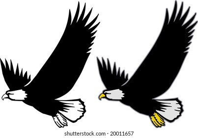fly high