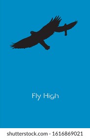 fly high, vector of a falcon fly in the sky 
