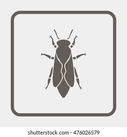 Fly icon.