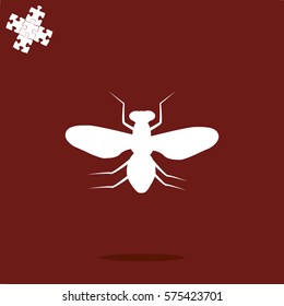 fly icon
