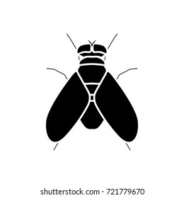 Fly icon .