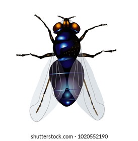 fly icon cartoon