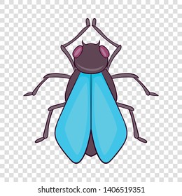Fly icon. Cartoon illustration of fly vector icon for web
