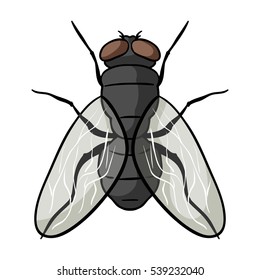 Fly icon in cartoon style isolated on white background. Insects symbol stock vector illustration.