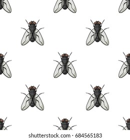 Fly icon in cartoon style isolated on white background. Insects symbol stock vector illustration.