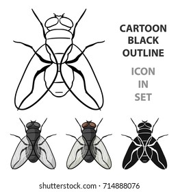 Fly icon in cartoon style isolated on white background. Insects symbol stock vector illustration.