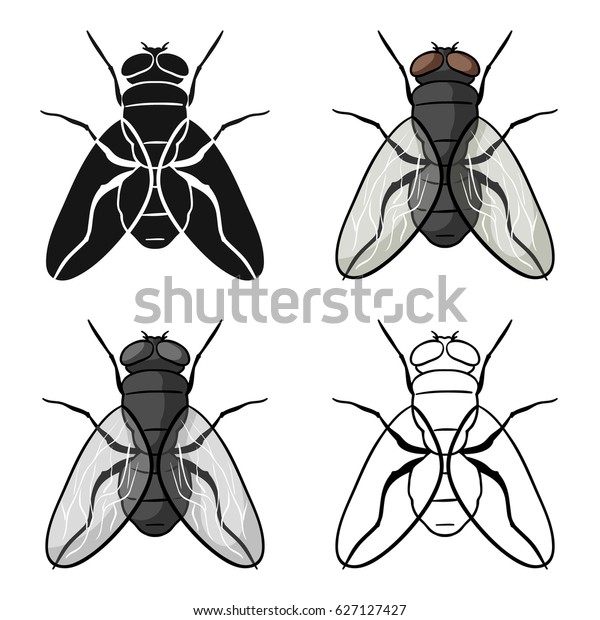 Fly icon in cartoon style\
isolated on white background. Insects symbol stock vector\
illustration.