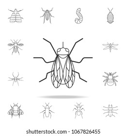 fly icon. Detailed set of insects line illustrations. Premium quality graphic design icon. One of the collection icons for websites, web design, mobile app on white background
