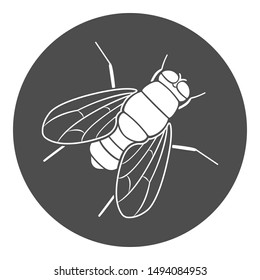 Fly icon. Drosophila symbol. Vector.
