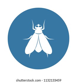 fly icon. Element of insect icons for mobile concept and web apps. Badge style fly icon can be used for web and mobile apps