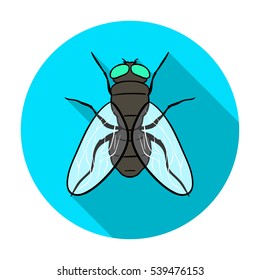 Fly icon in flat style isolated on white background. Insects symbol stock vector illustration.