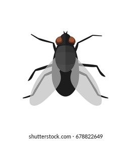 Fly icon in flat style. Vector simple illustration of housefly on white background.