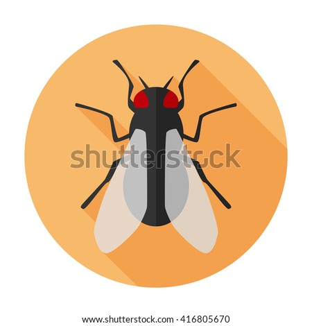 Fly icon flat vector insect sign/symbol/sticker. For mobile user interface